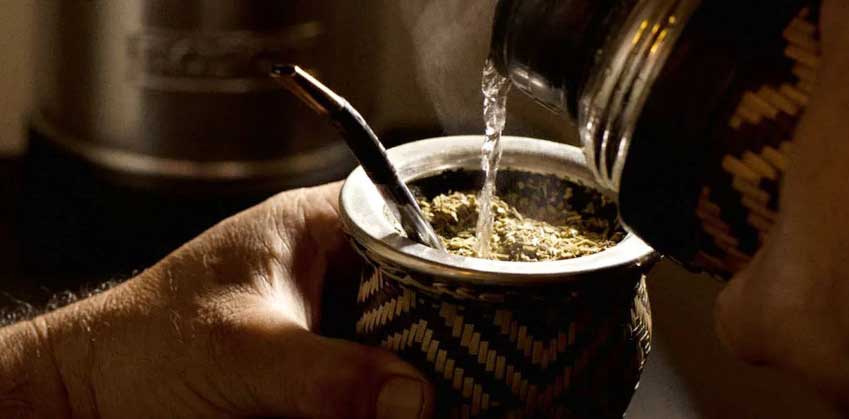 Yerba Mate in close detail, as being served