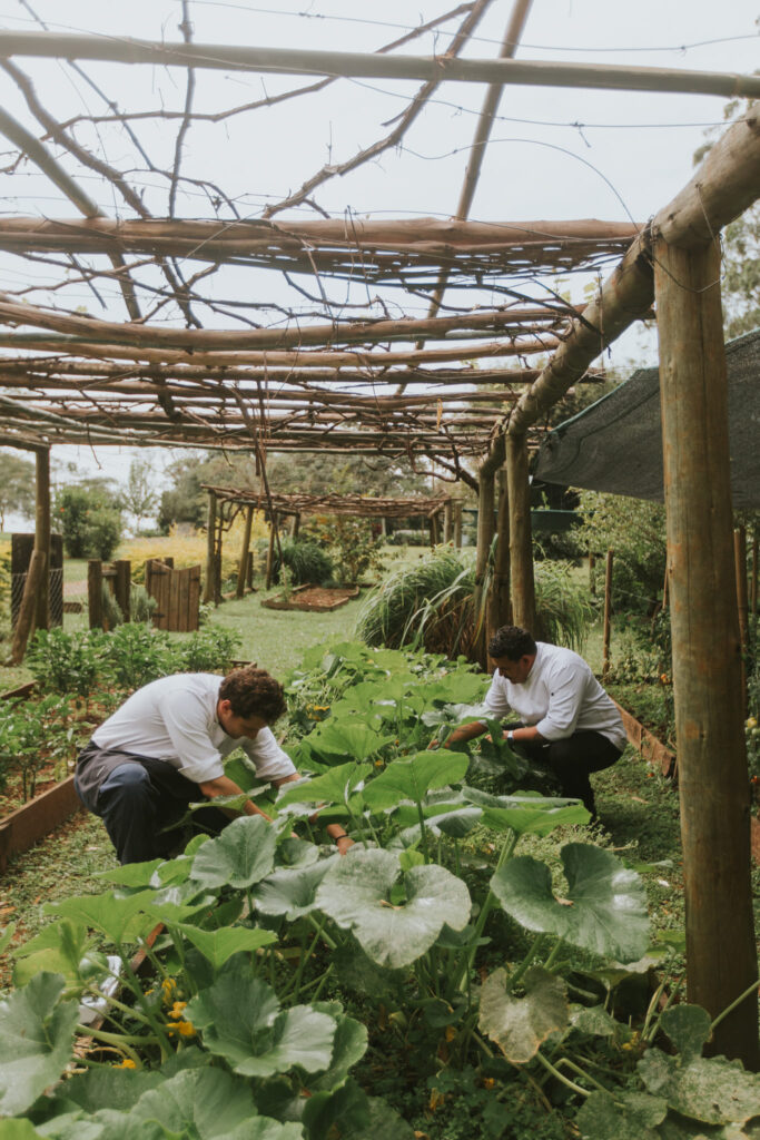 Workers of the sustainable vegetable garden of the hotel puerto valle