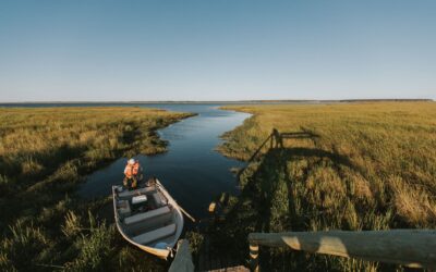 10 Facts about Esteros del iberá Wetlands