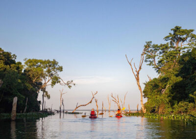 Navegando paisaje del río en Corrientes, Argentina
