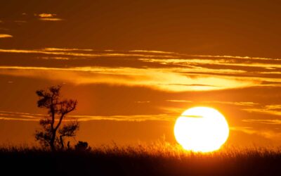 The impact of climate change in the Iberá Wetlands 