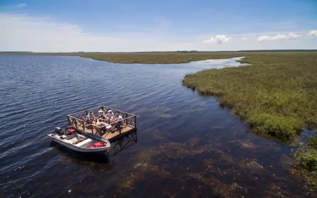 Los mejores videos de los Esteros del Iberá en Corrientes