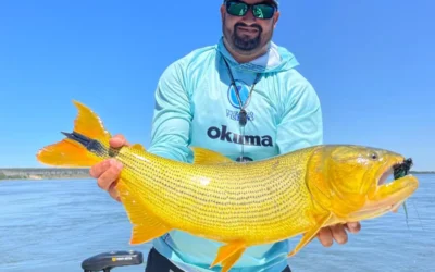 Pesca de dorado en Corrientes: experiencia en Puerto Valle