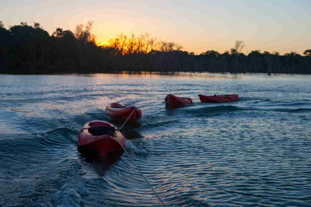 Remar en silencio: la experiencia de explorar el Iberá desde el agua
