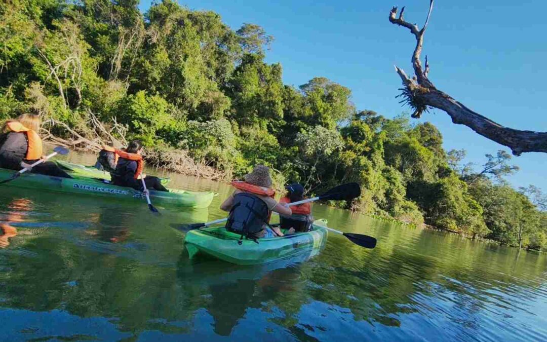 Remar en silencio: la experiencia de explorar el Iberá desde el agua
