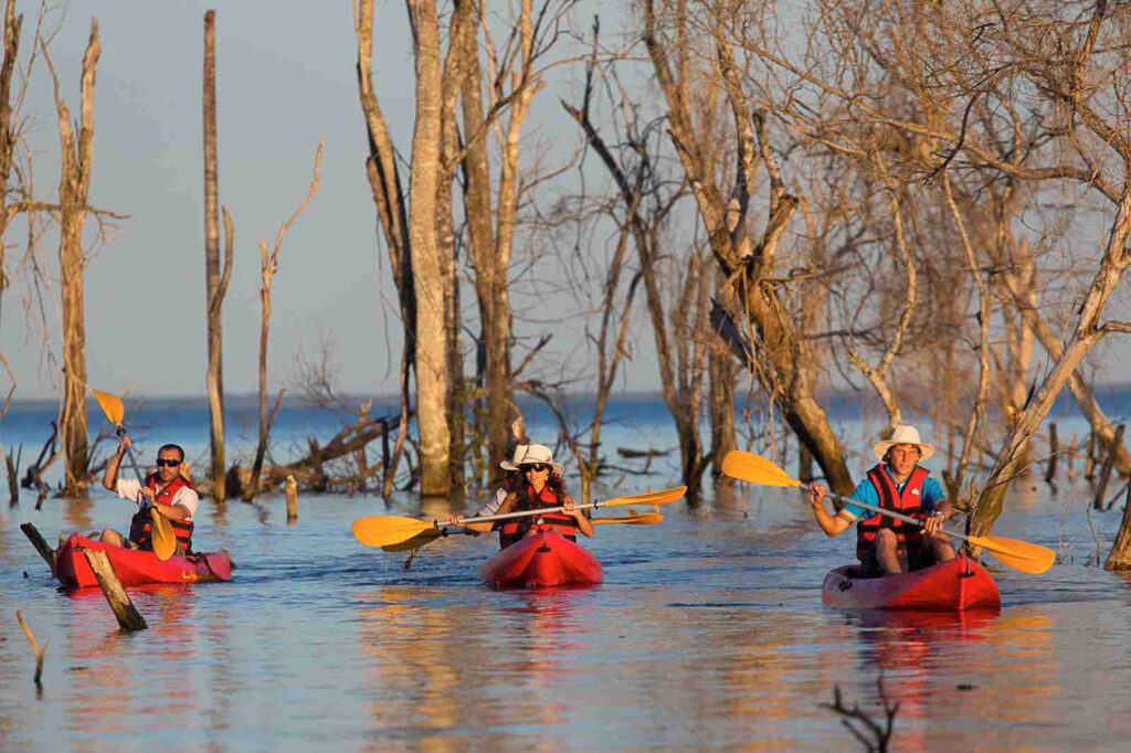 Remar en silencio: la experiencia de explorar el Iberá desde el agua