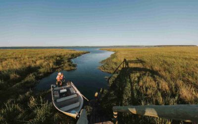 El agua que da vida: por qué los humedales son esenciales para la biodiversidad